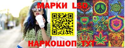 гидропоника Пушкино