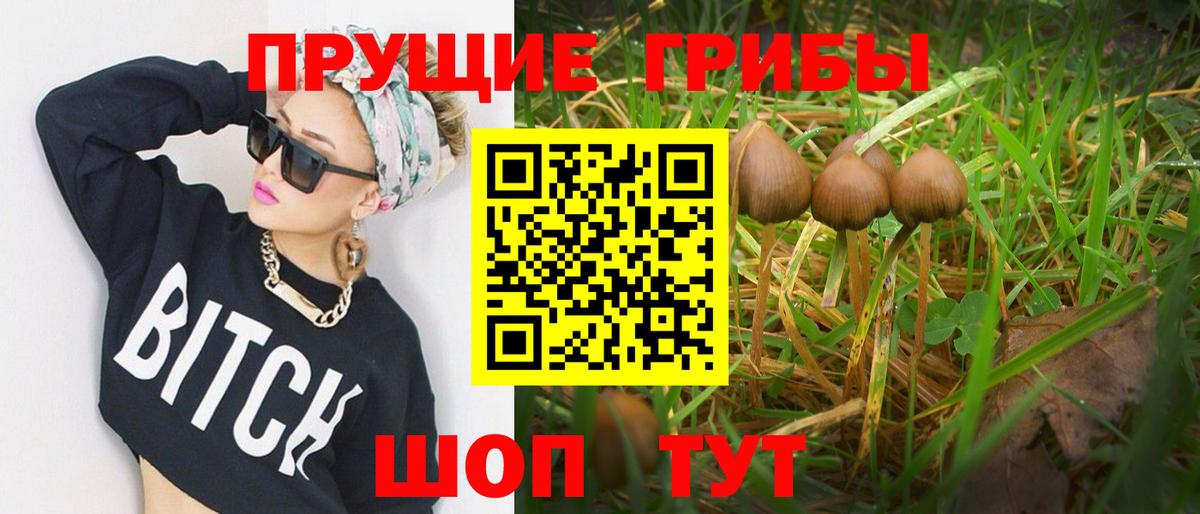 Псилоцибиновые грибы ЛСД  Псилоцибиновые грибы GOLDEN TEACHER  Томск  Вход с VPN 